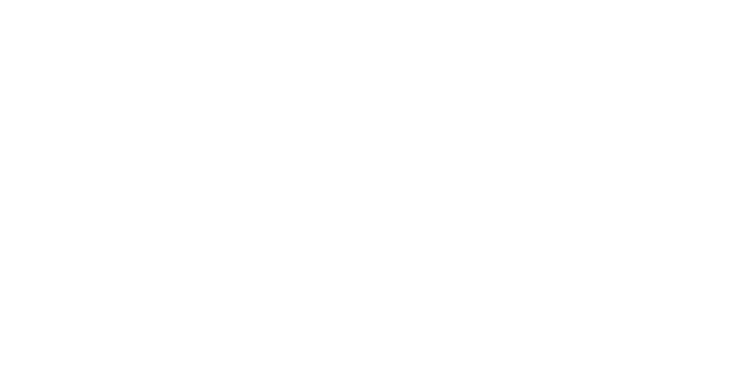 KÖZ und AVCI